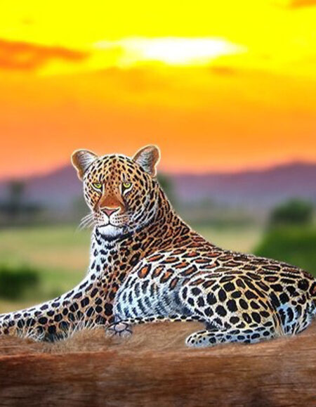 Hand-Painted Wall Art